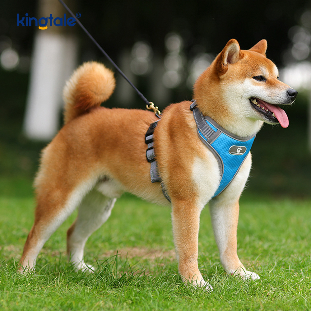 Adjustable Soft Padded No-Pull Pet Harness Reflective Dog Oxford Vest  