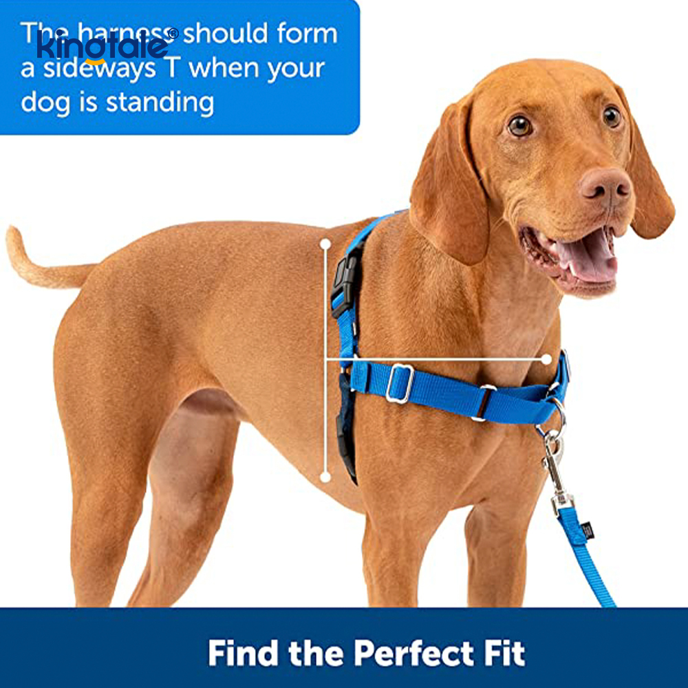 No-Pull Dog Harness Help Stop Pulling Take Control & Teach Leash Manners