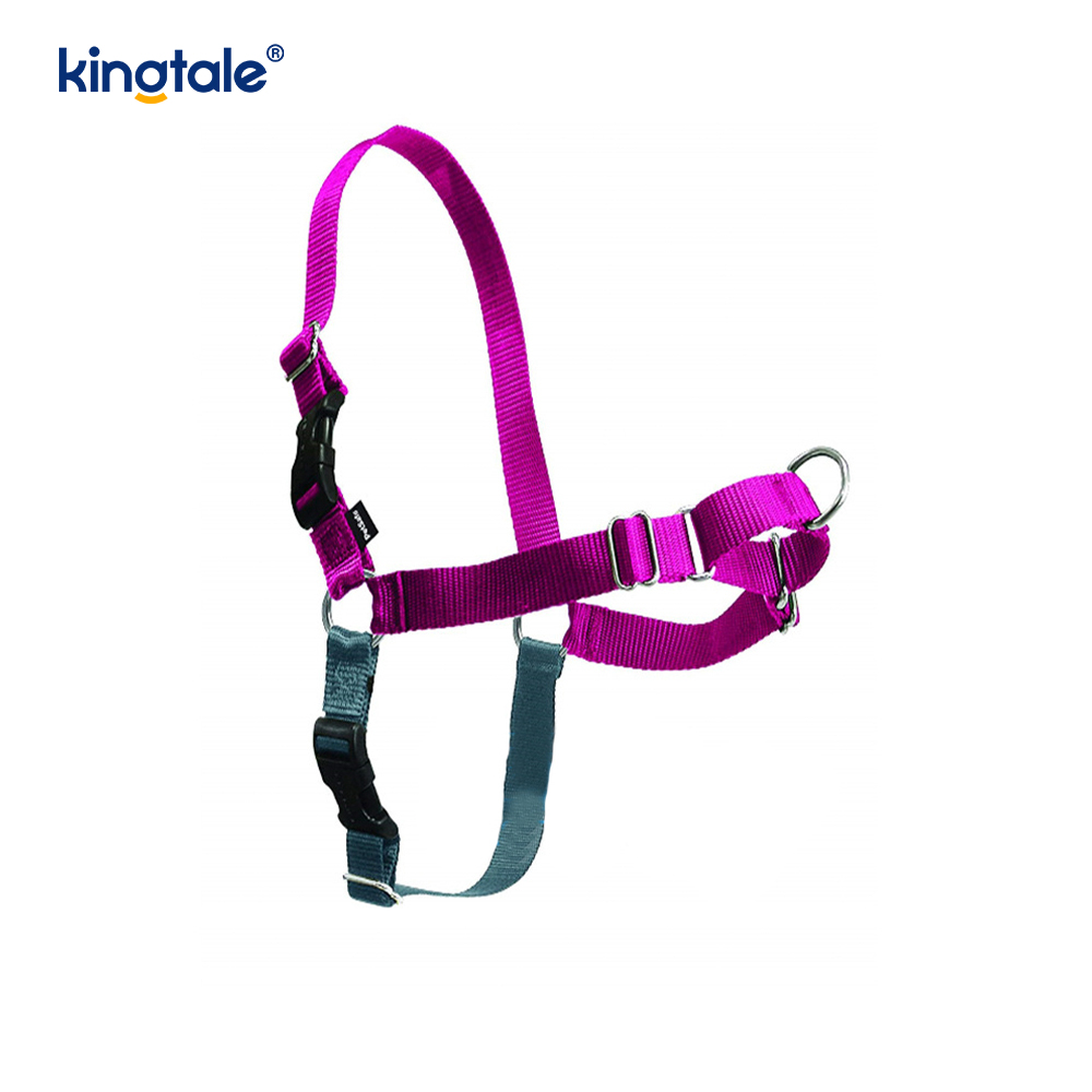 No-Pull Dog Harness Help Stop Pulling Take Control & Teach Leash Manners