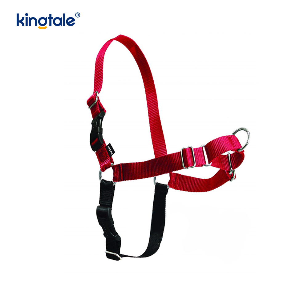 No-Pull Dog Harness Help Stop Pulling Take Control & Teach Leash Manners