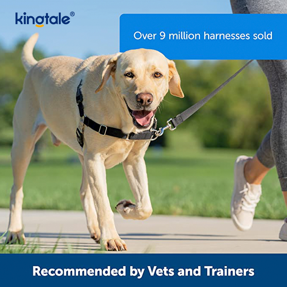 No-Pull Dog Harness Help Stop Pulling Take Control & Teach Leash Manners