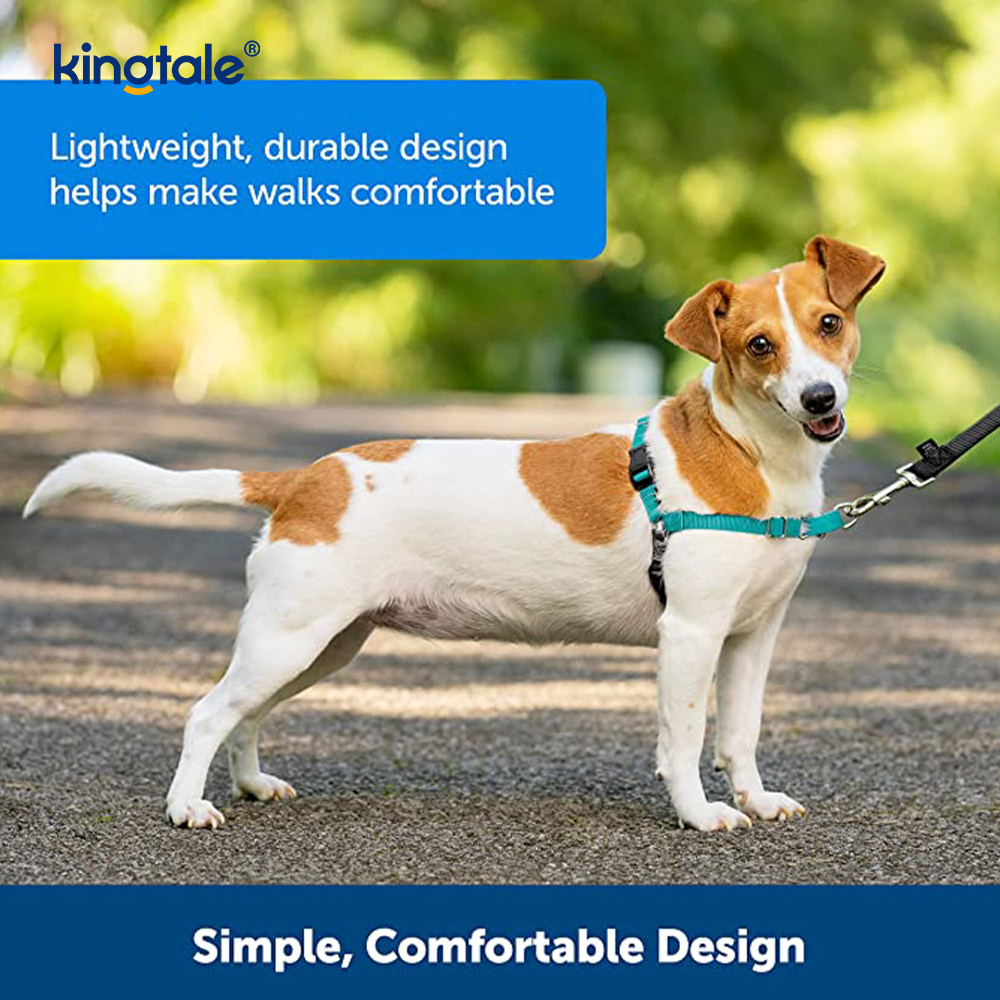 No-Pull Dog Harness Help Stop Pulling Take Control & Teach Leash Manners