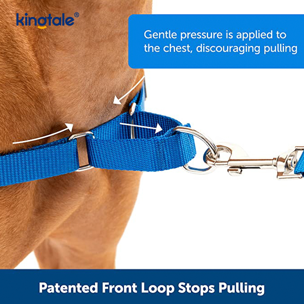 No-Pull Dog Harness Help Stop Pulling Take Control & Teach Leash Manners