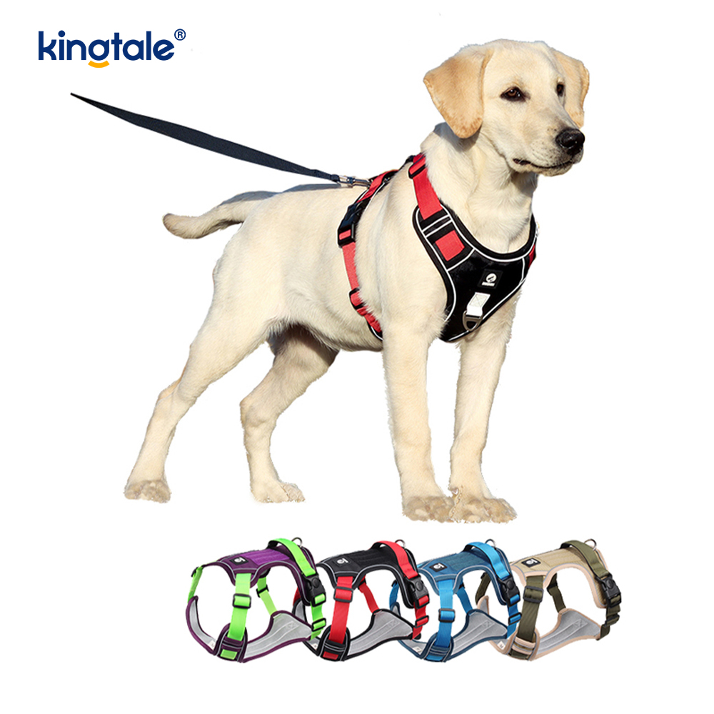 Nylon Rivet Reflective Adjustable Breathable Sport Harness With Dog Leash