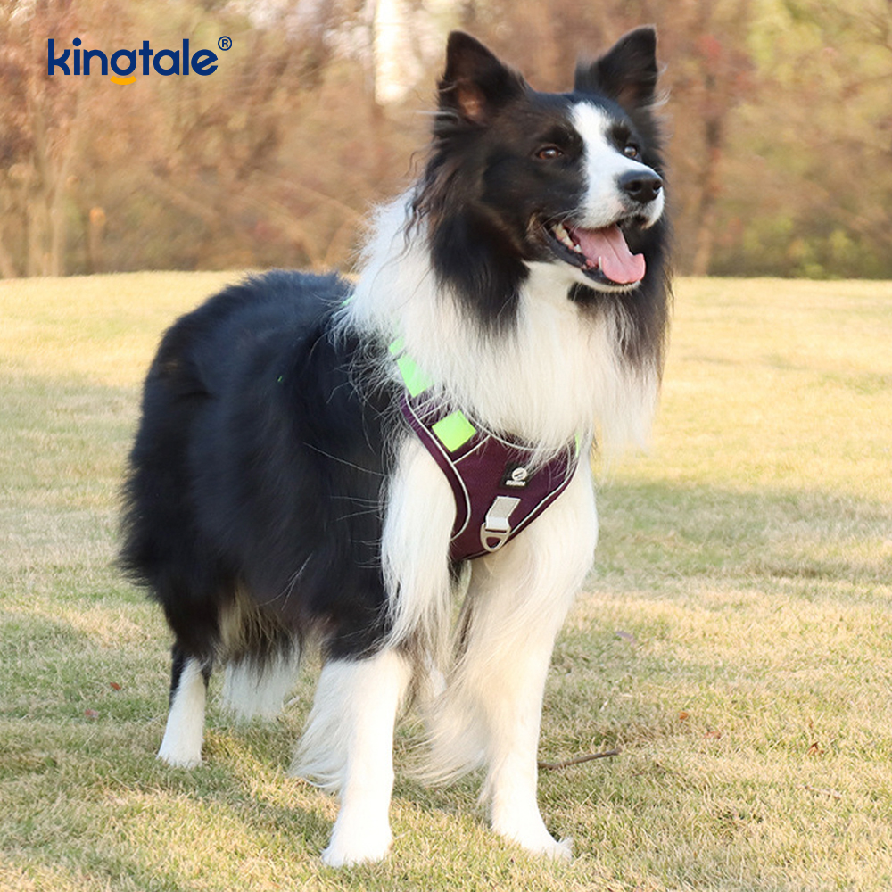 Nylon Rivet Reflective Adjustable Breathable Sport Harness With Dog Leash