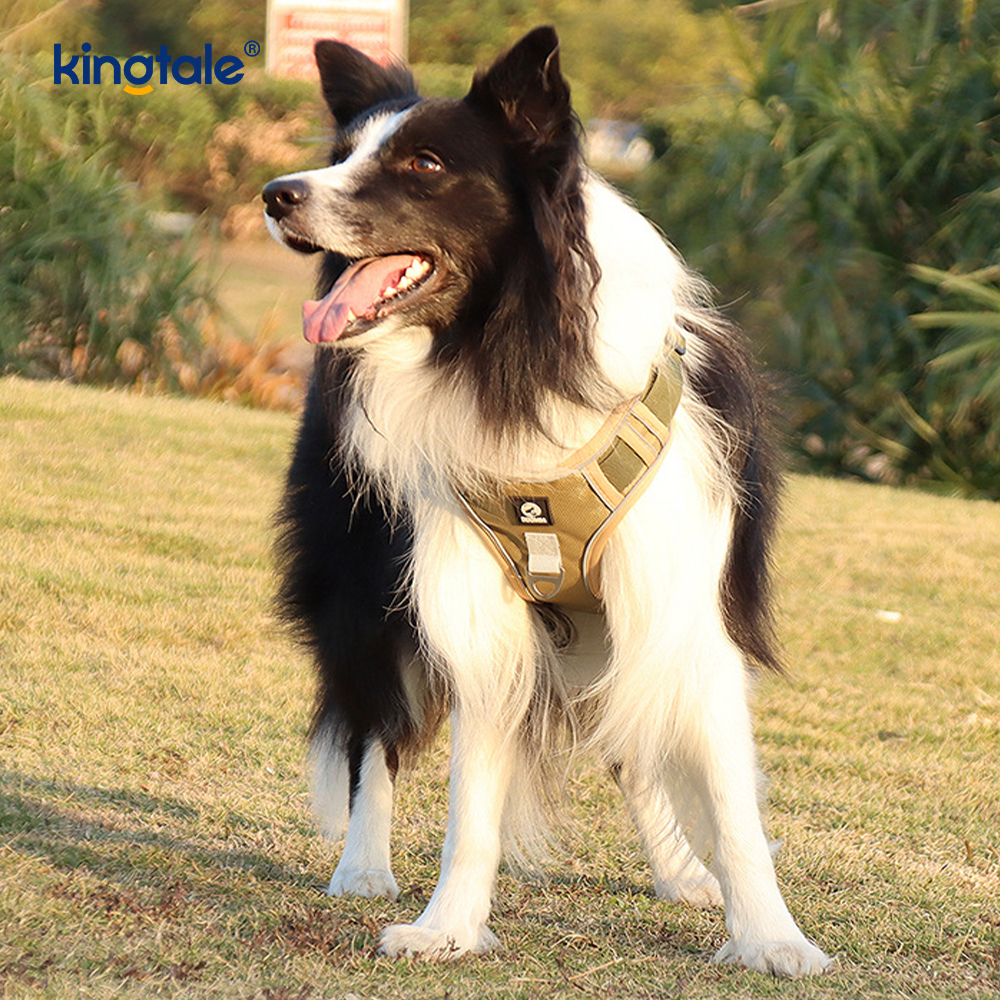 Nylon Rivet Reflective Adjustable Breathable Sport Harness With Dog Leash