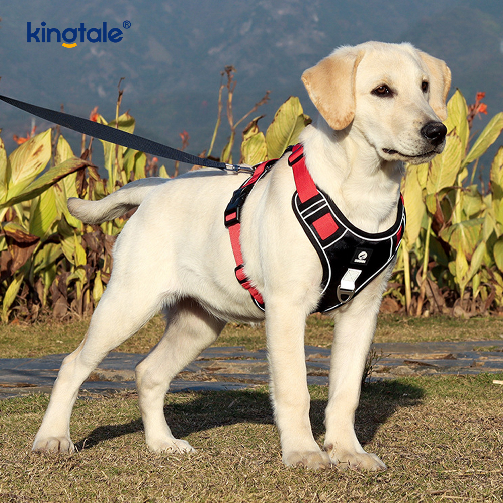 Nylon Rivet Reflective Adjustable Breathable Sport Harness With Dog Leash