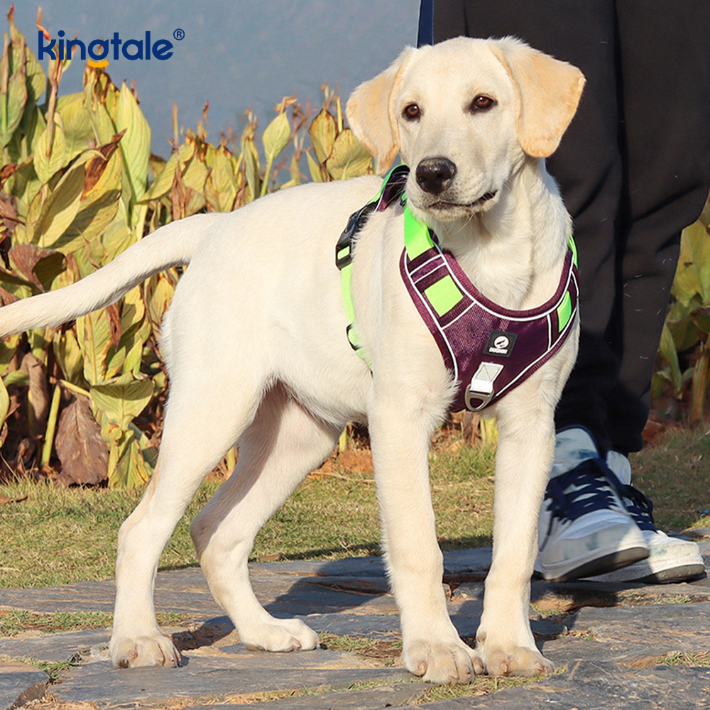 Nylon Rivet Reflective Adjustable Breathable Sport Harness With Dog Leash