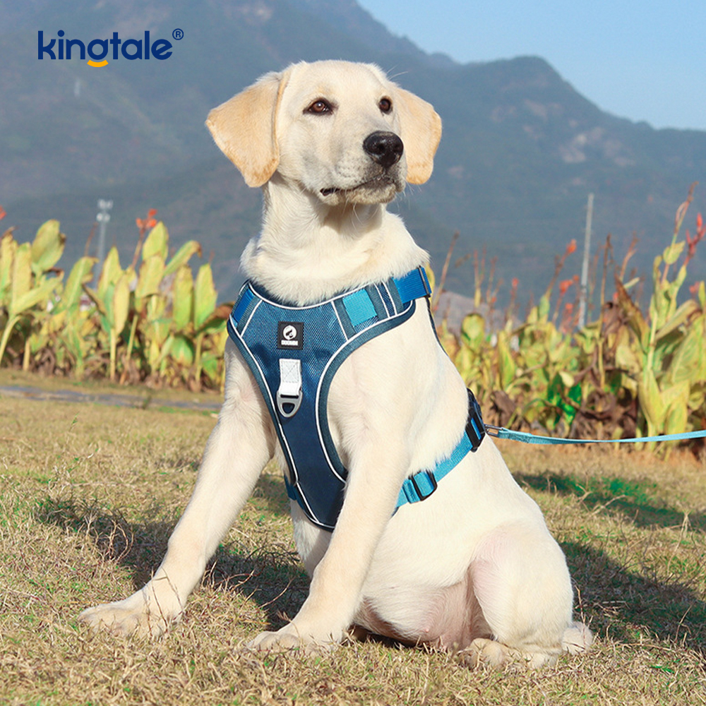 Nylon Rivet Reflective Adjustable Breathable Sport Harness With Dog Leash