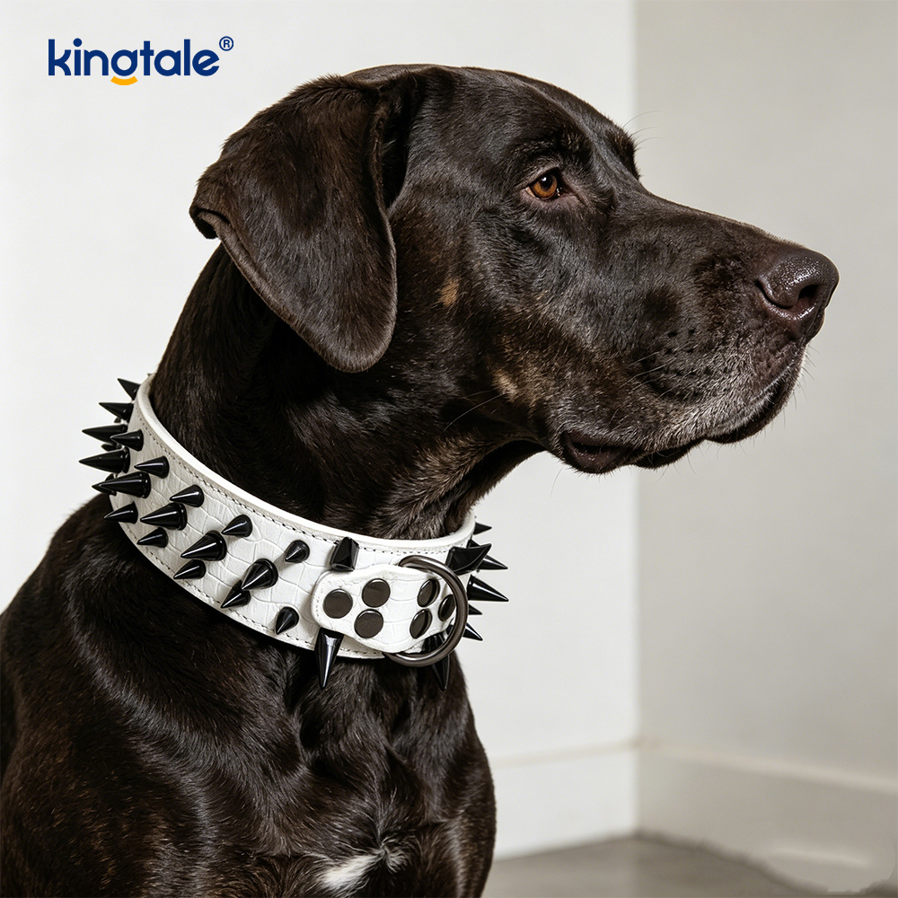 Sharp Spiked Studded Dog Collar Stylish Leather Dog Collars