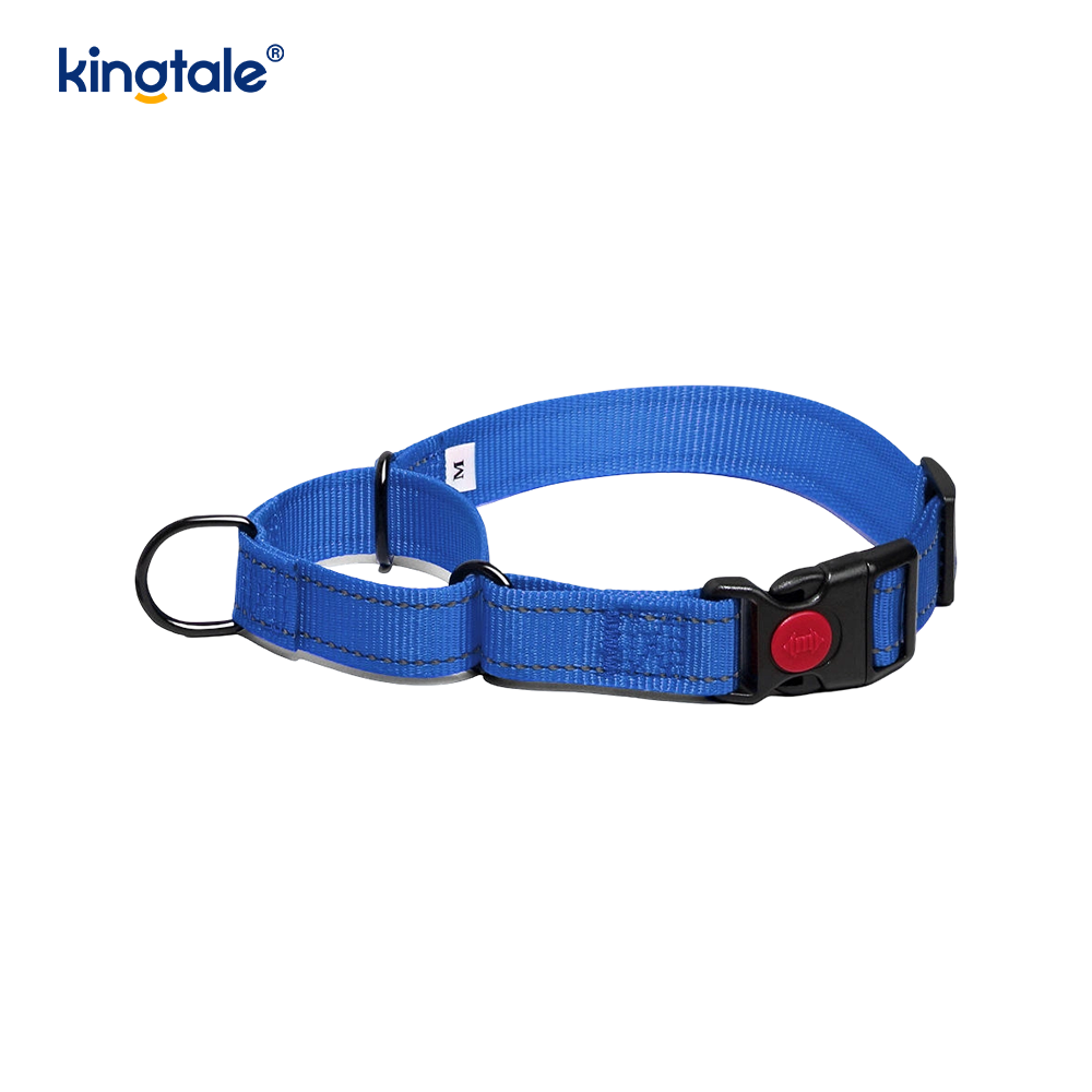 Quick Release No Pull Reflective Adjustable Nylon Martingale Dog Collar