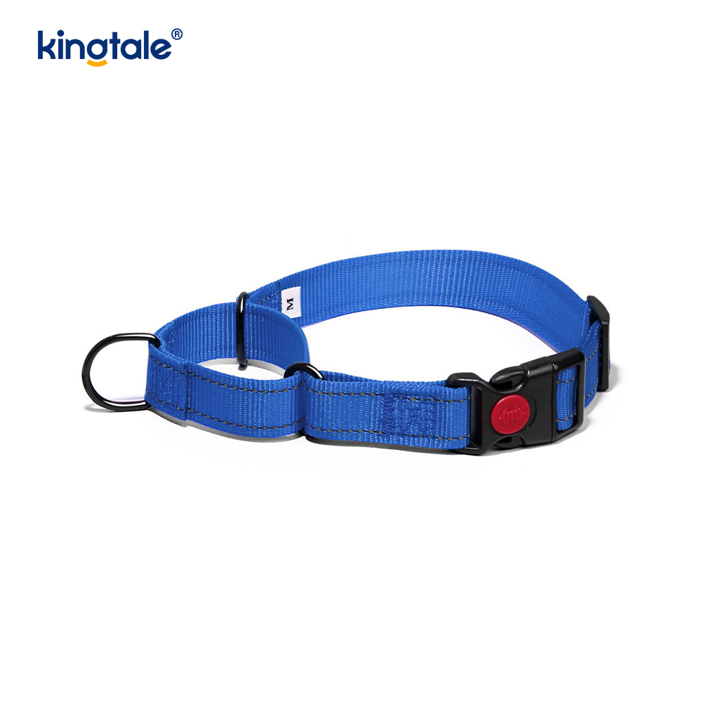 Quick Release No Pull Reflective Adjustable Nylon Martingale Dog Collar
