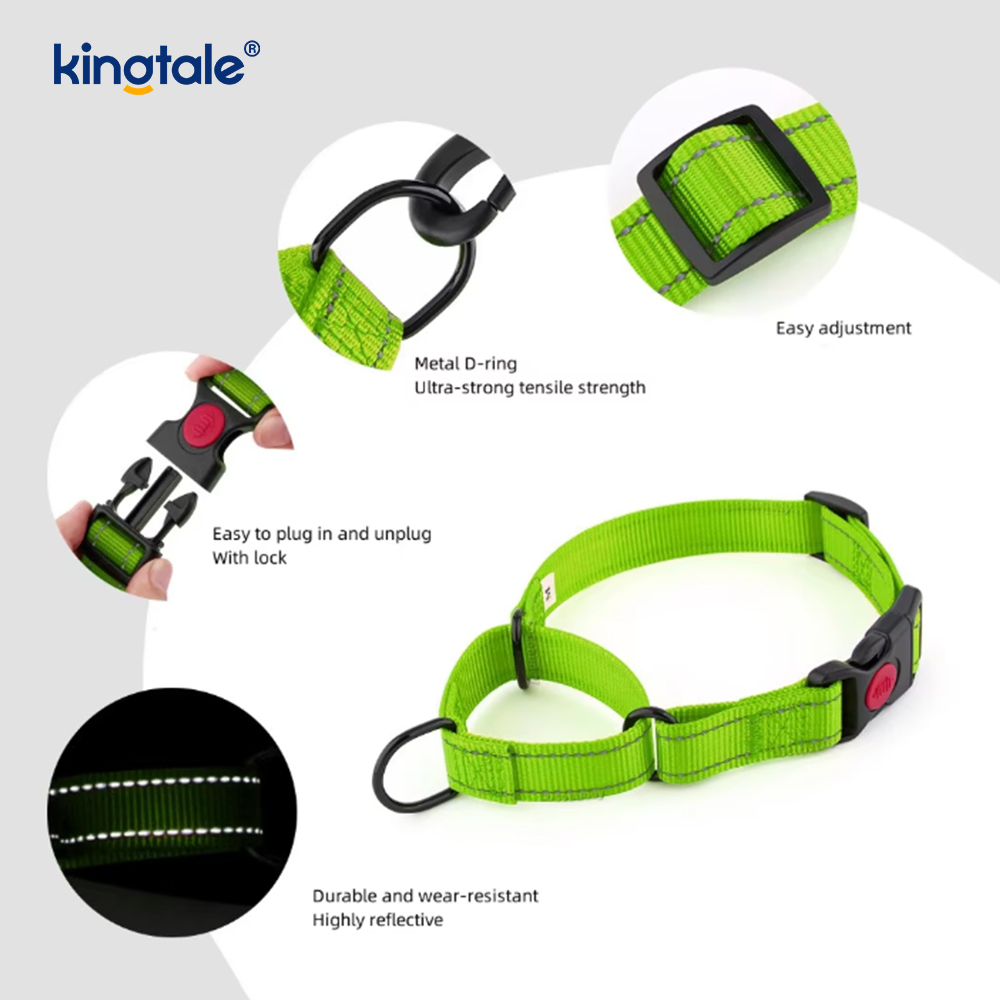 Quick Release No Pull Reflective Adjustable Nylon Martingale Dog Collar