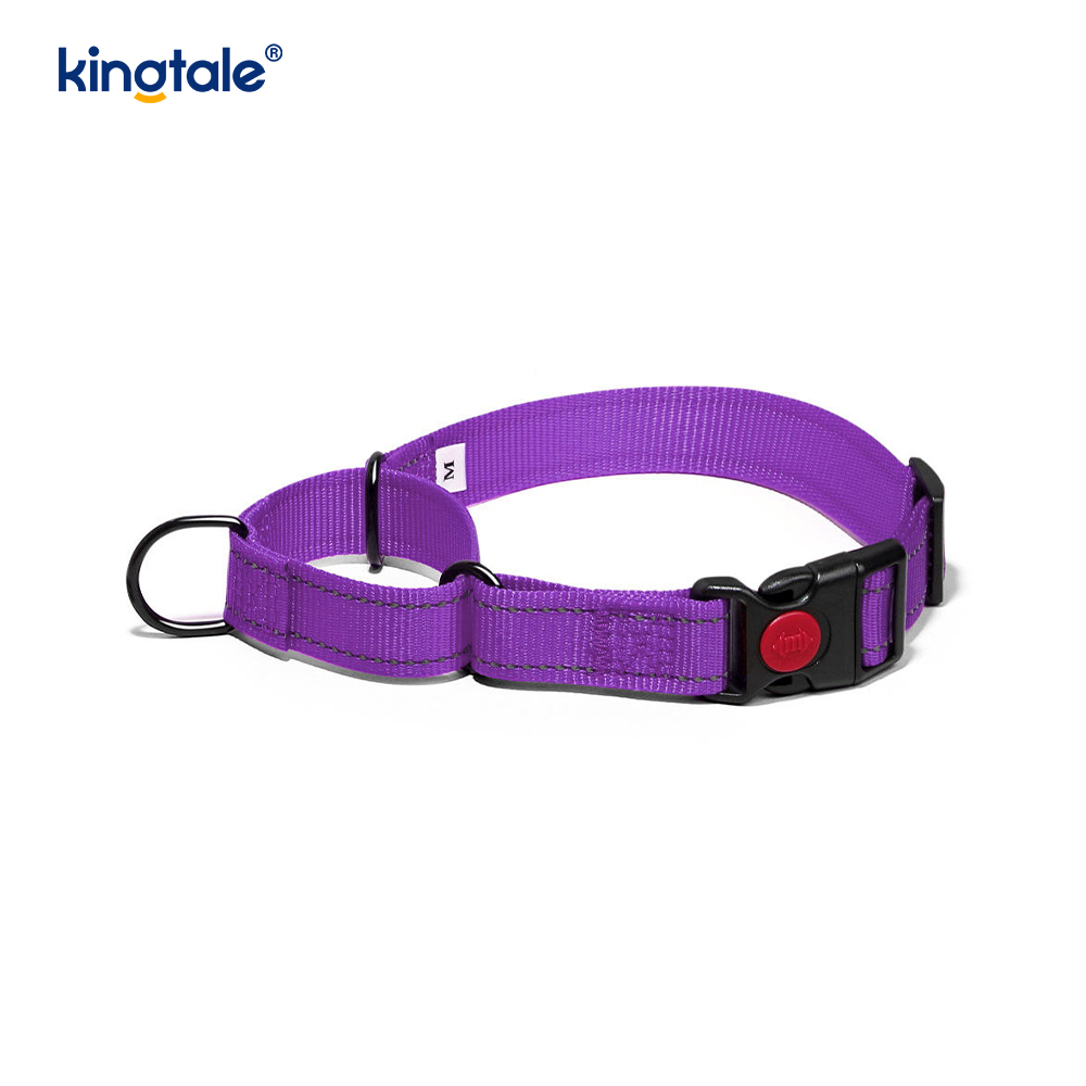 Quick Release No Pull Reflective Adjustable Nylon Martingale Dog Collar