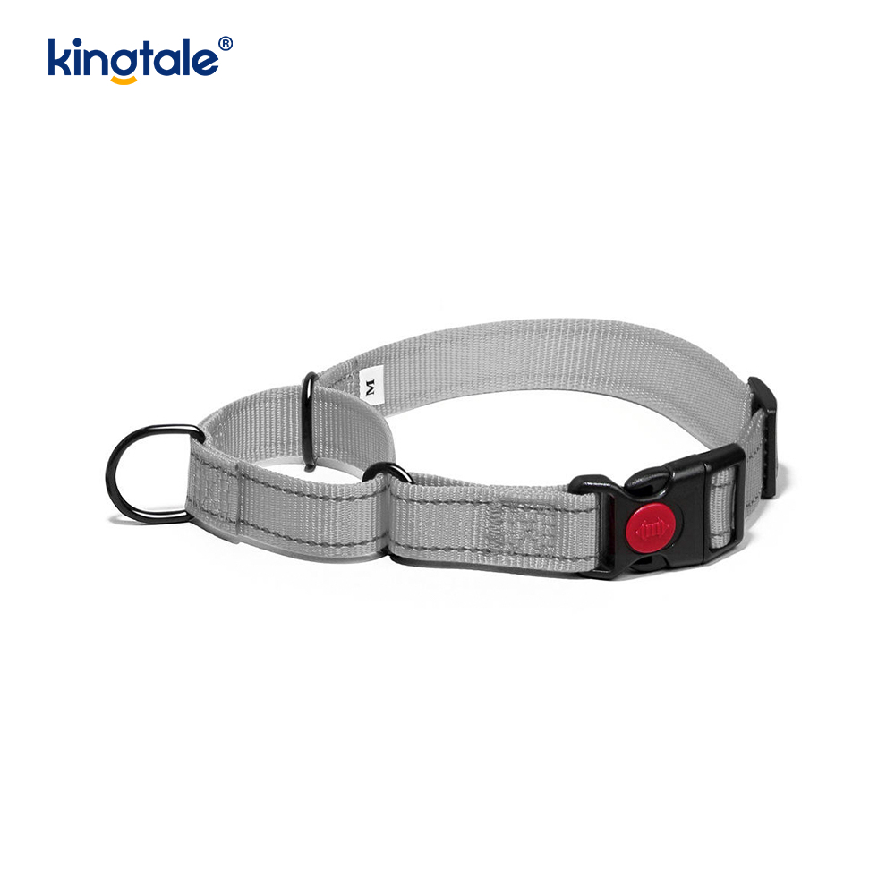 Quick Release No Pull Reflective Adjustable Nylon Martingale Dog Collar
