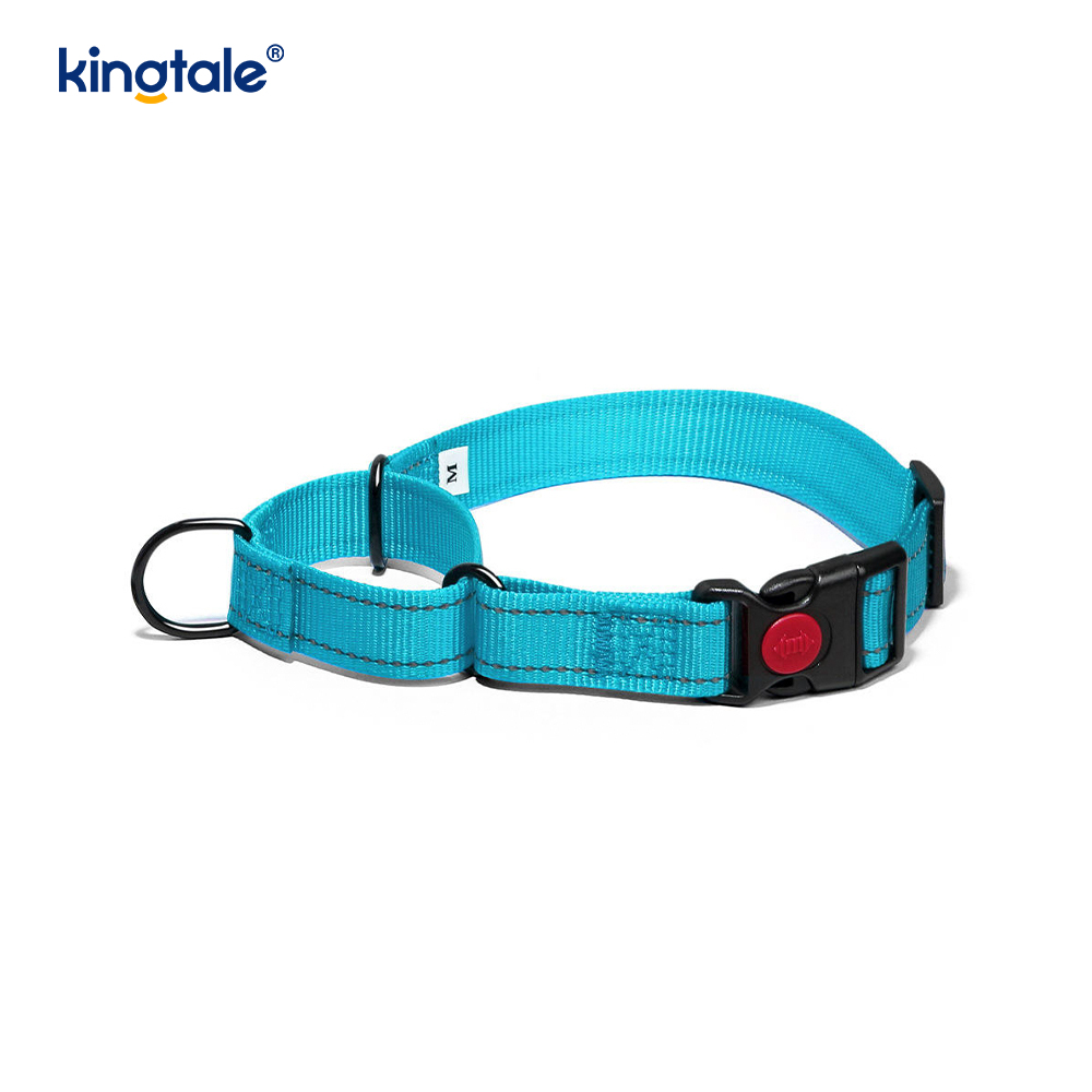 Quick Release No Pull Reflective Adjustable Nylon Martingale Dog Collar