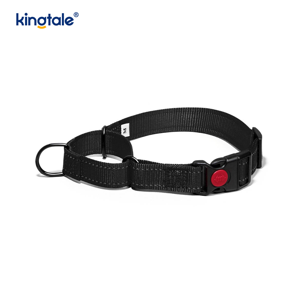 Quick Release No Pull Reflective Adjustable Nylon Martingale Dog Collar