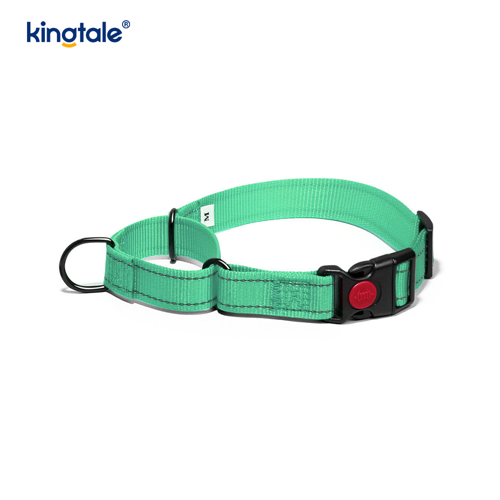 Quick Release No Pull Reflective Adjustable Nylon Martingale Dog Collar