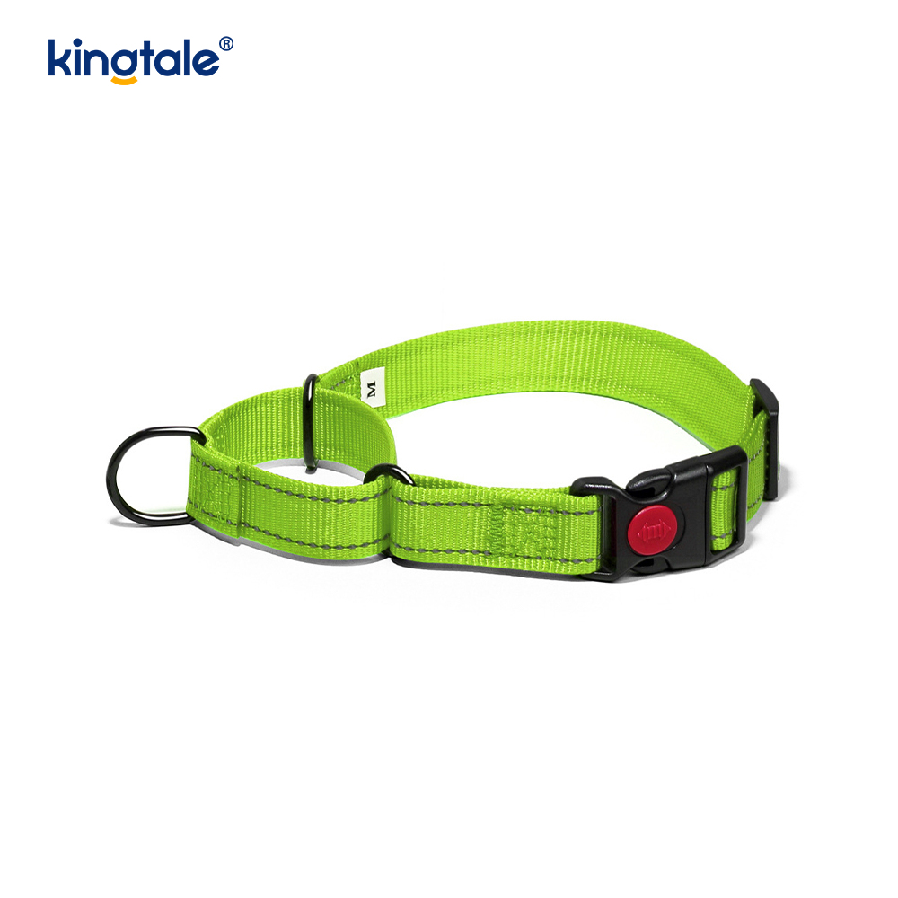 Quick Release No Pull Reflective Adjustable Nylon Martingale Dog Collar