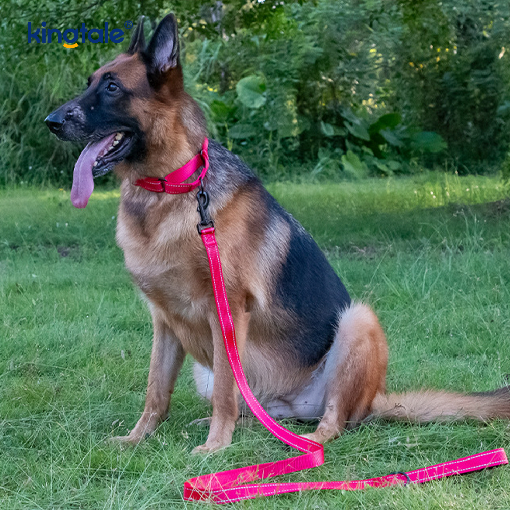 Quick Release No Pull Reflective Adjustable Nylon Martingale Dog Collar