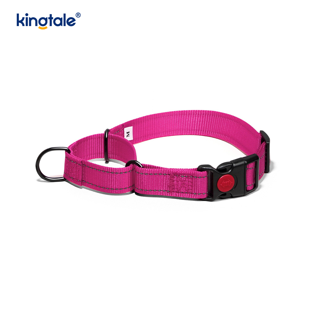 Quick Release No Pull Reflective Adjustable Nylon Martingale Dog Collar