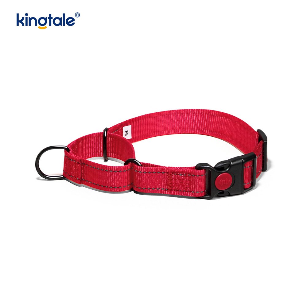 Quick Release No Pull Reflective Adjustable Nylon Martingale Dog Collar