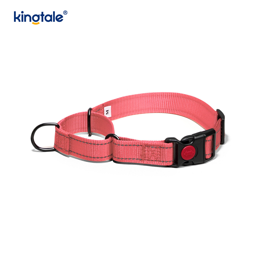 Quick Release No Pull Reflective Adjustable Nylon Martingale Dog Collar