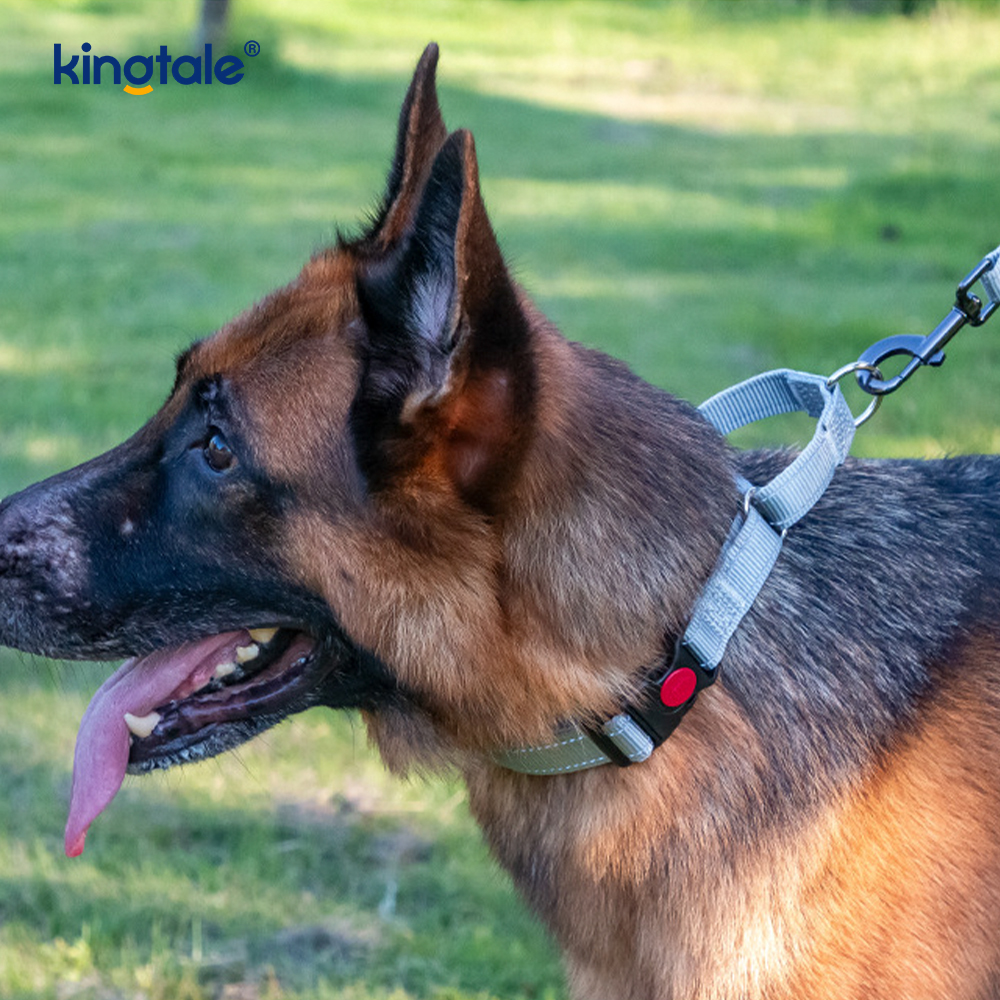 Quick Release No Pull Reflective Adjustable Nylon Martingale Dog Collar