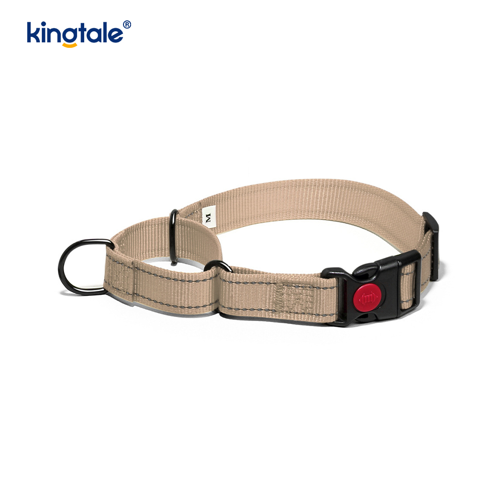 Quick Release No Pull Reflective Adjustable Nylon Martingale Dog Collar