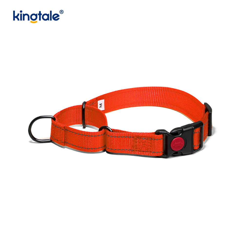 Quick Release No Pull Reflective Adjustable Nylon Martingale Dog Collar