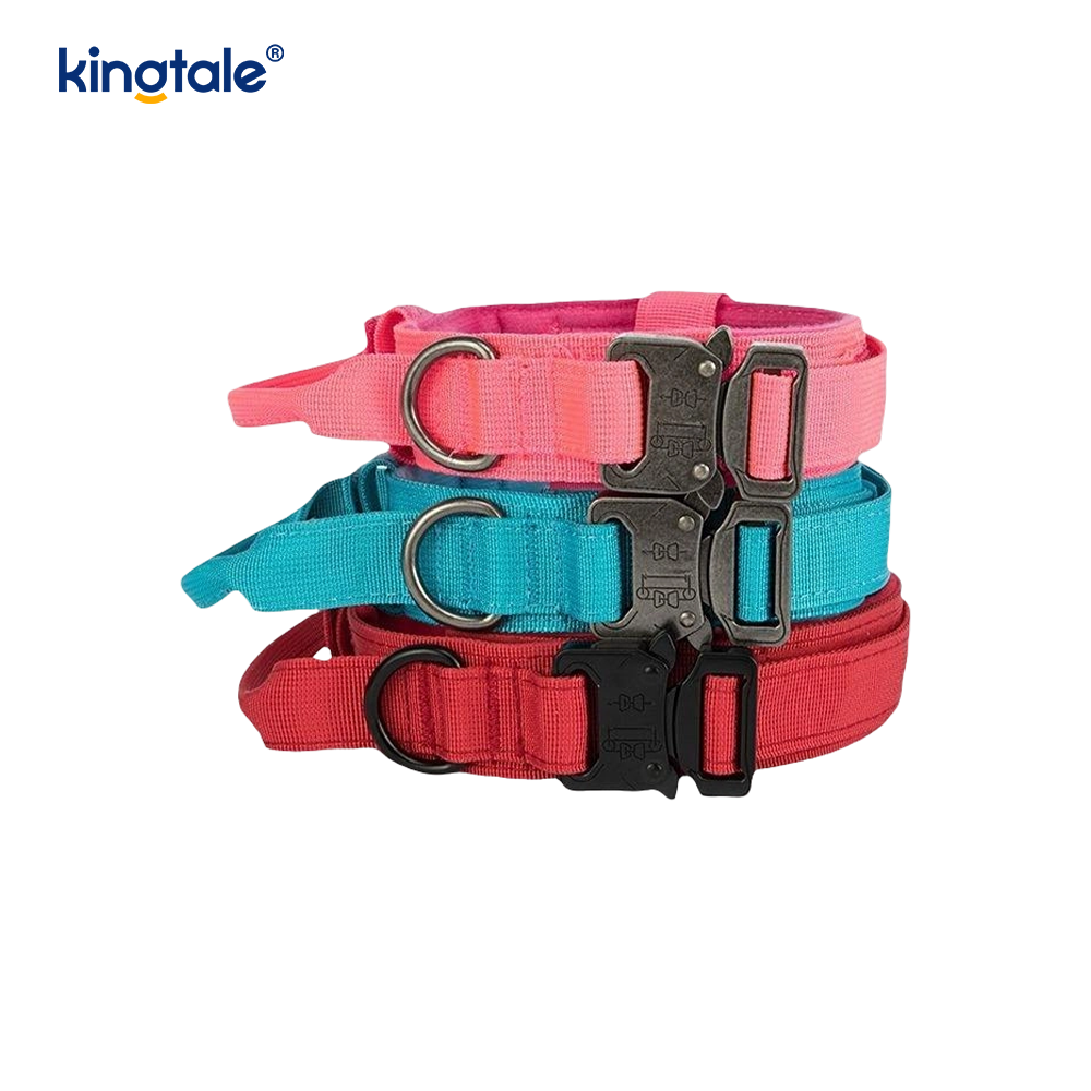 CutsomTraining Nylon Control Handle Metal Buckle Collar 