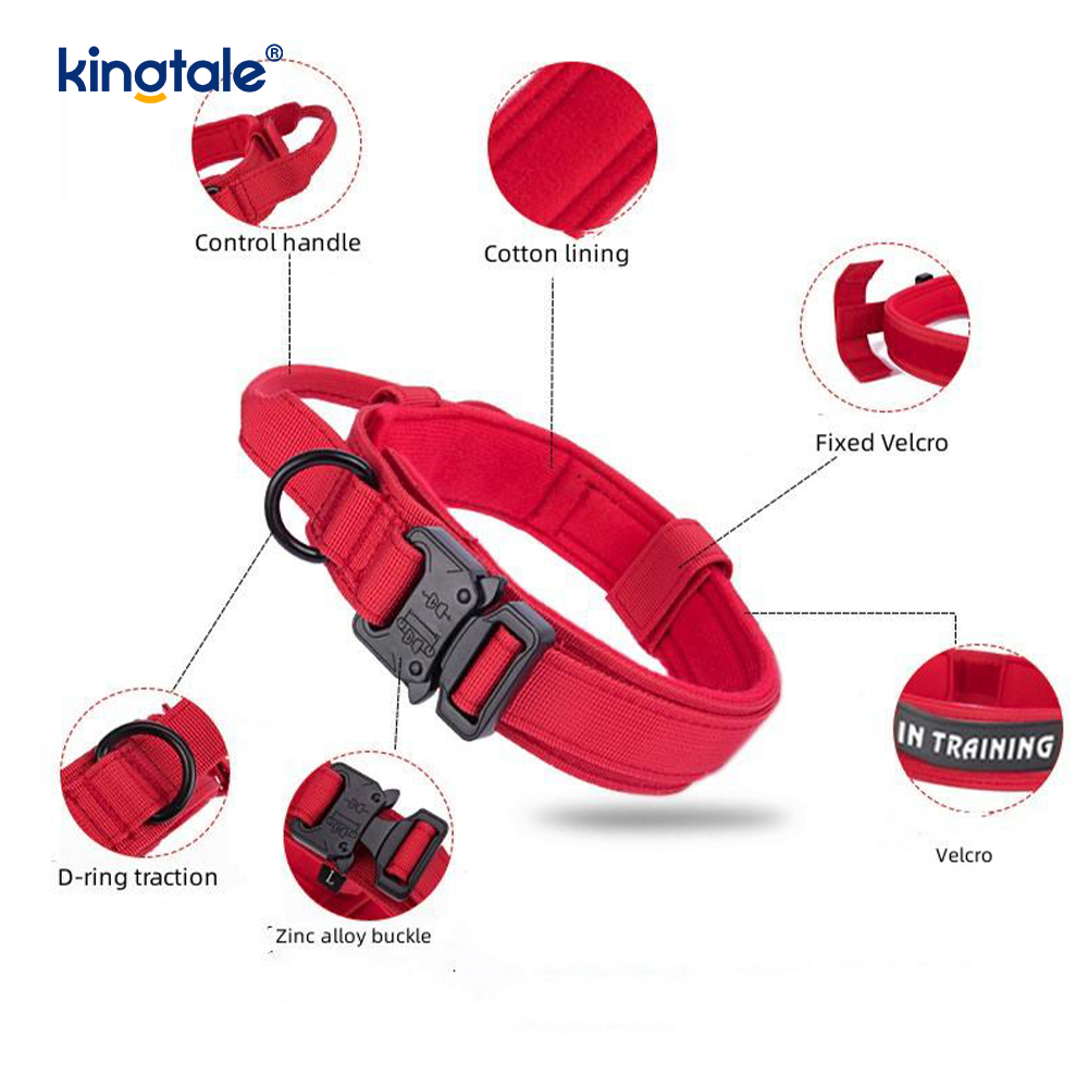 CutsomTraining Nylon Control Handle Metal Buckle Collar 