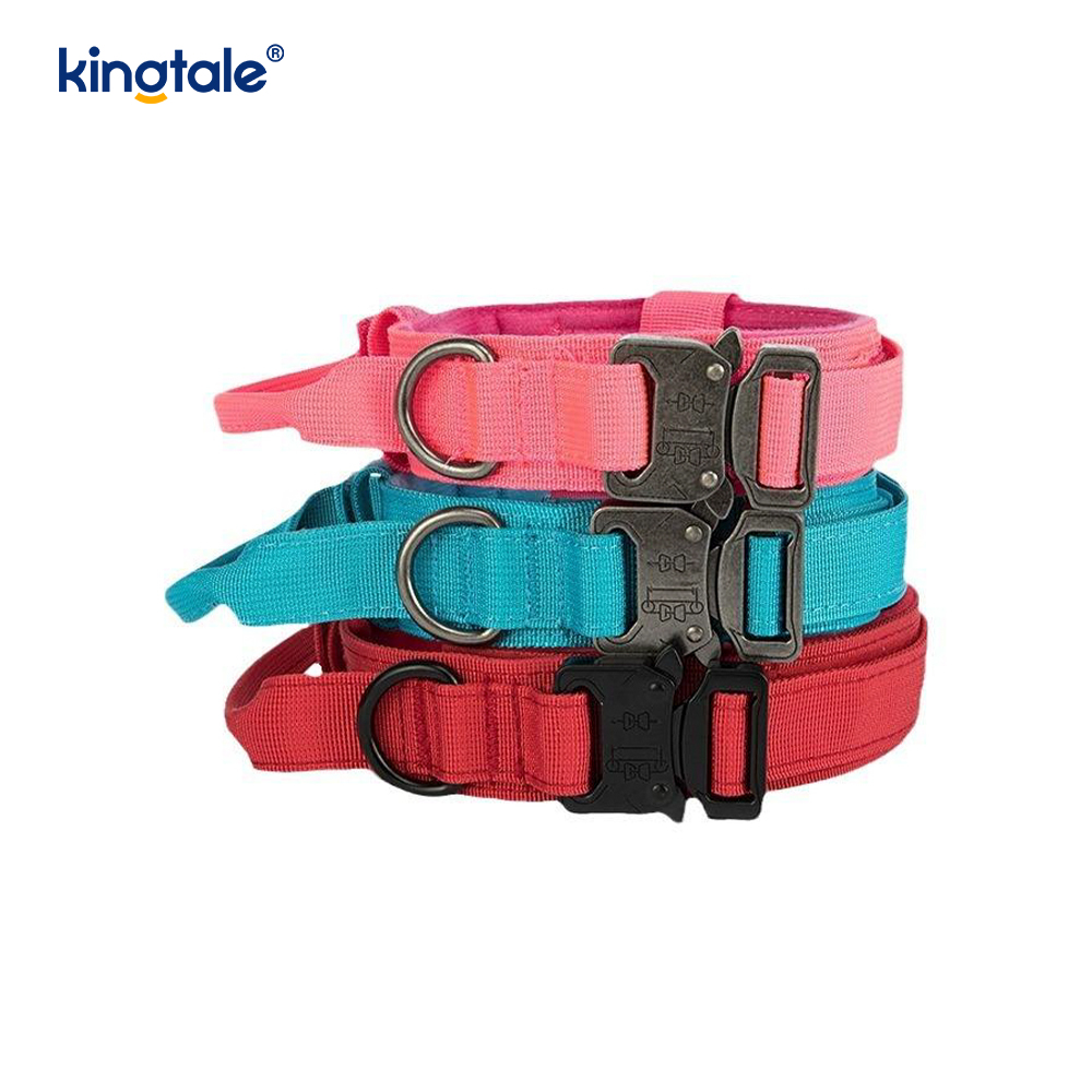 CutsomTraining Nylon Control Handle Metal Buckle Collar 