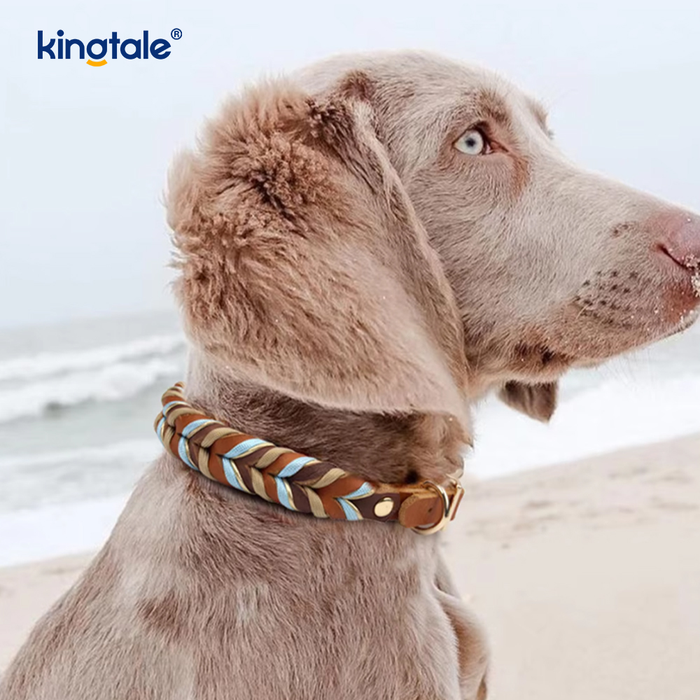 Soft and Durable Genuine Leather Dog Collar and Leash Set  