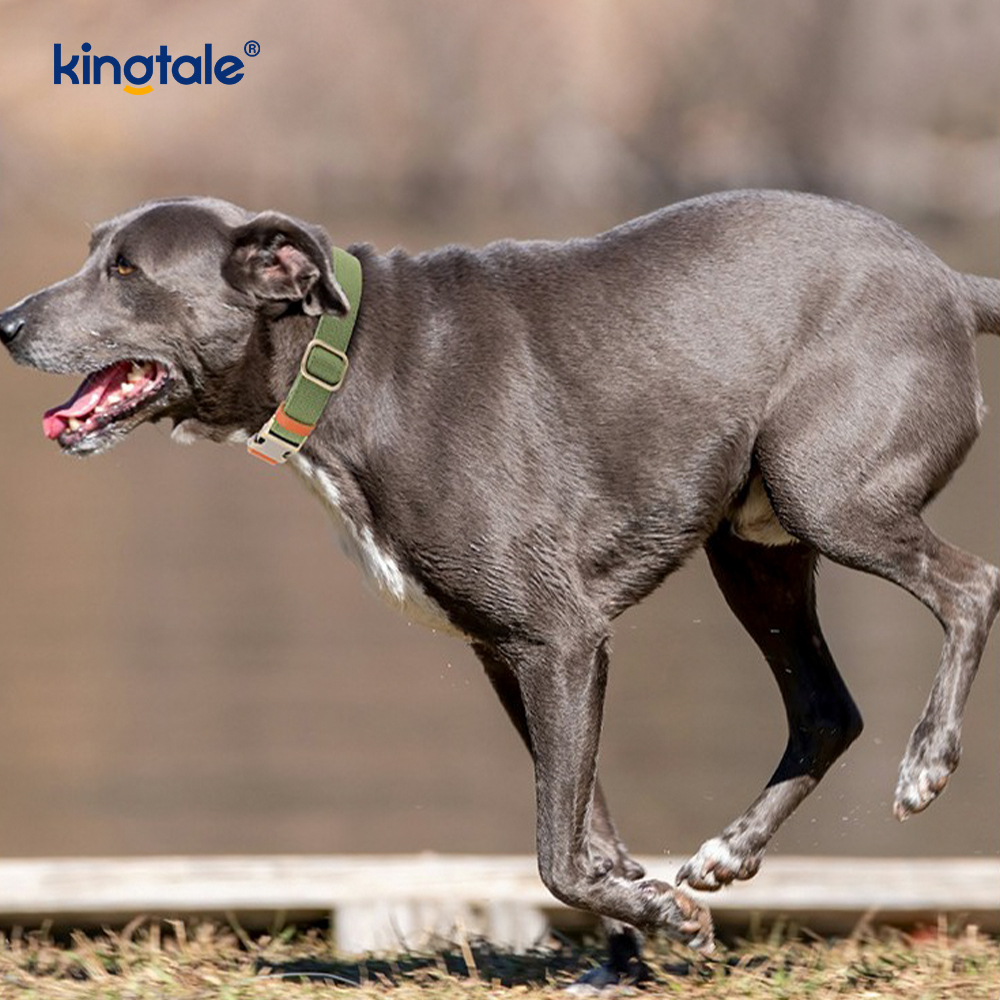 Non-Constricting Breathable Durable Natural Hemp Dog Collar 