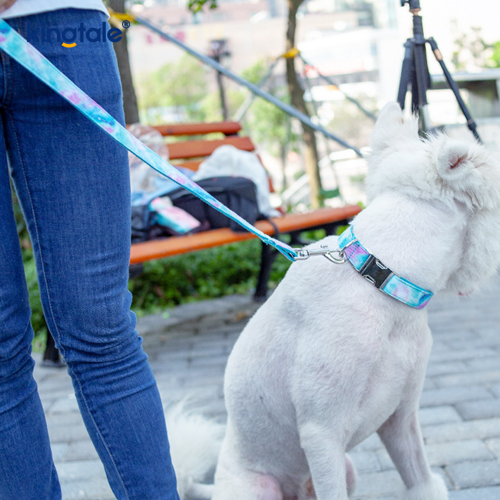 Dreamy Starry Sky Pet Collar Amazon-Style Dog Necklace Leash 