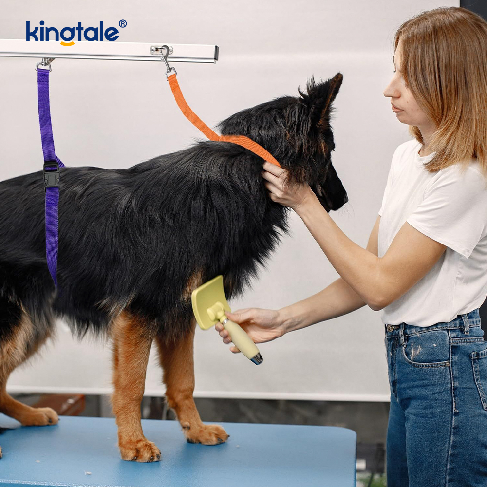 Wholesale Pet Grooming Restraint Leash Adjustable Safety Strap 