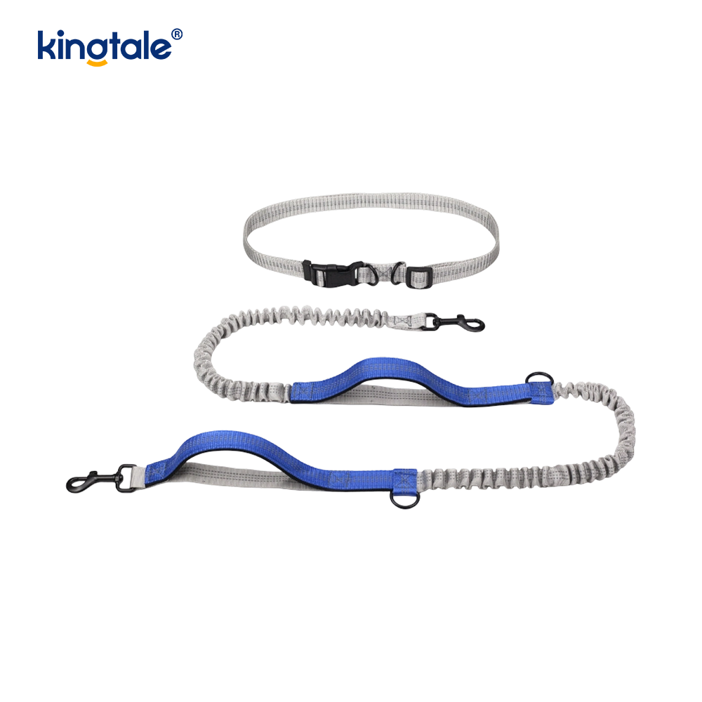 Amazon Reflective Dual-Retractable Dog Leash for Outdoor Running 