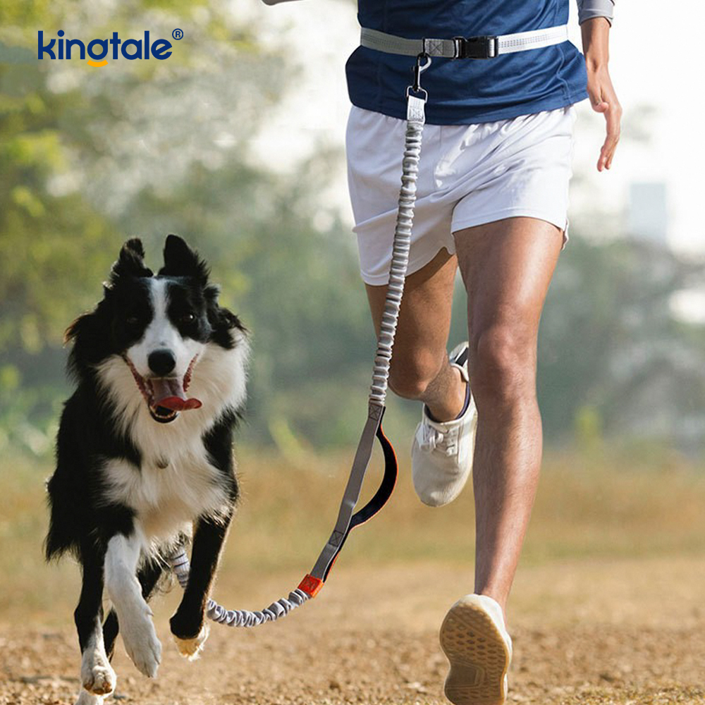 Amazon Reflective Dual-Retractable Dog Leash for Outdoor Running 