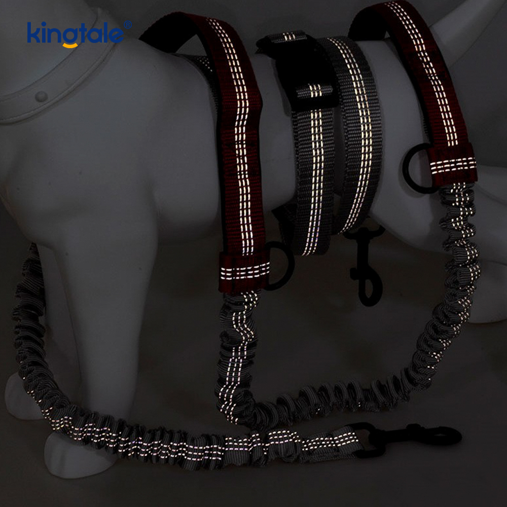Amazon Reflective Dual-Retractable Dog Leash for Outdoor Running 