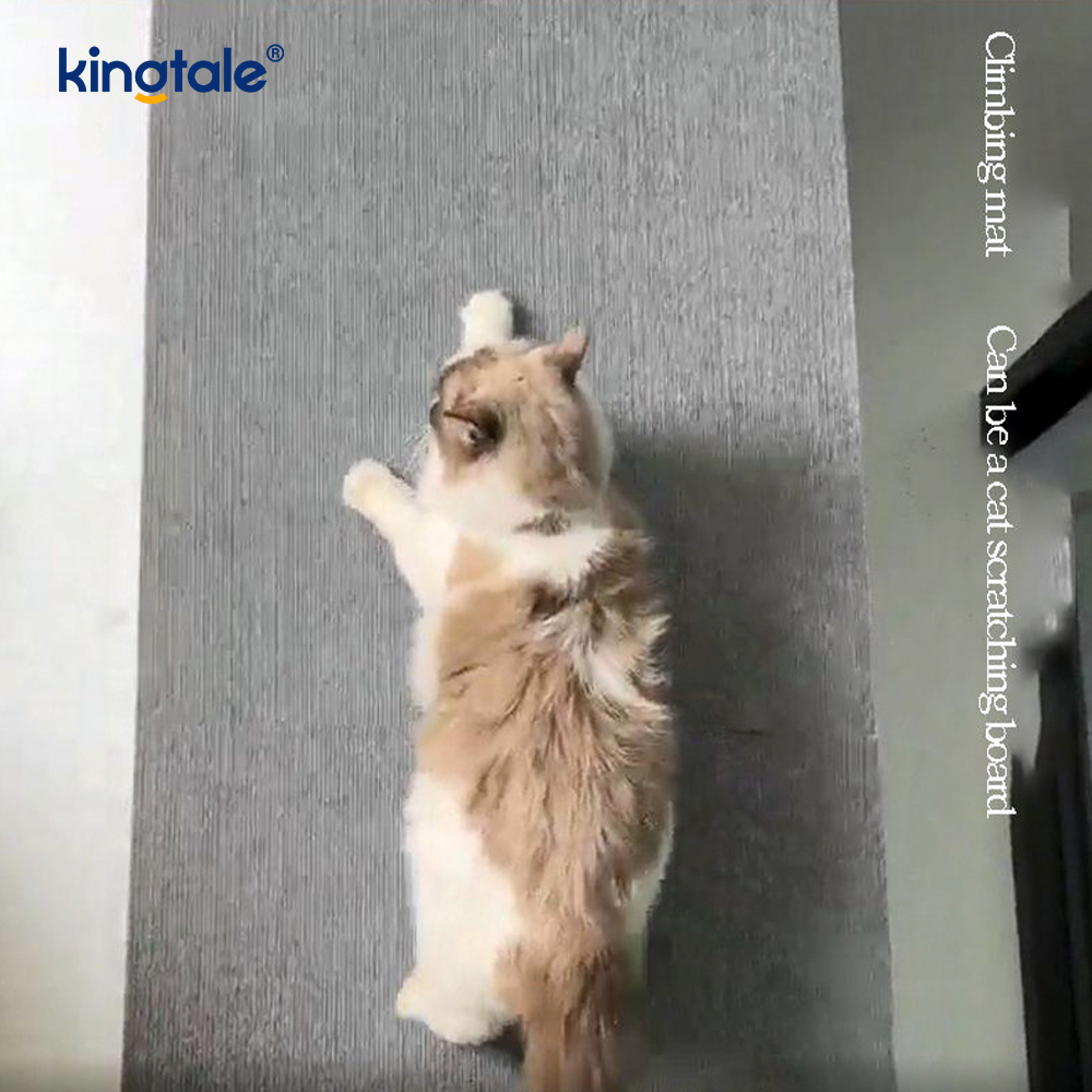 Cat Scratching Self-Adhesive Carpet for Replacement Pads Furniture Protection