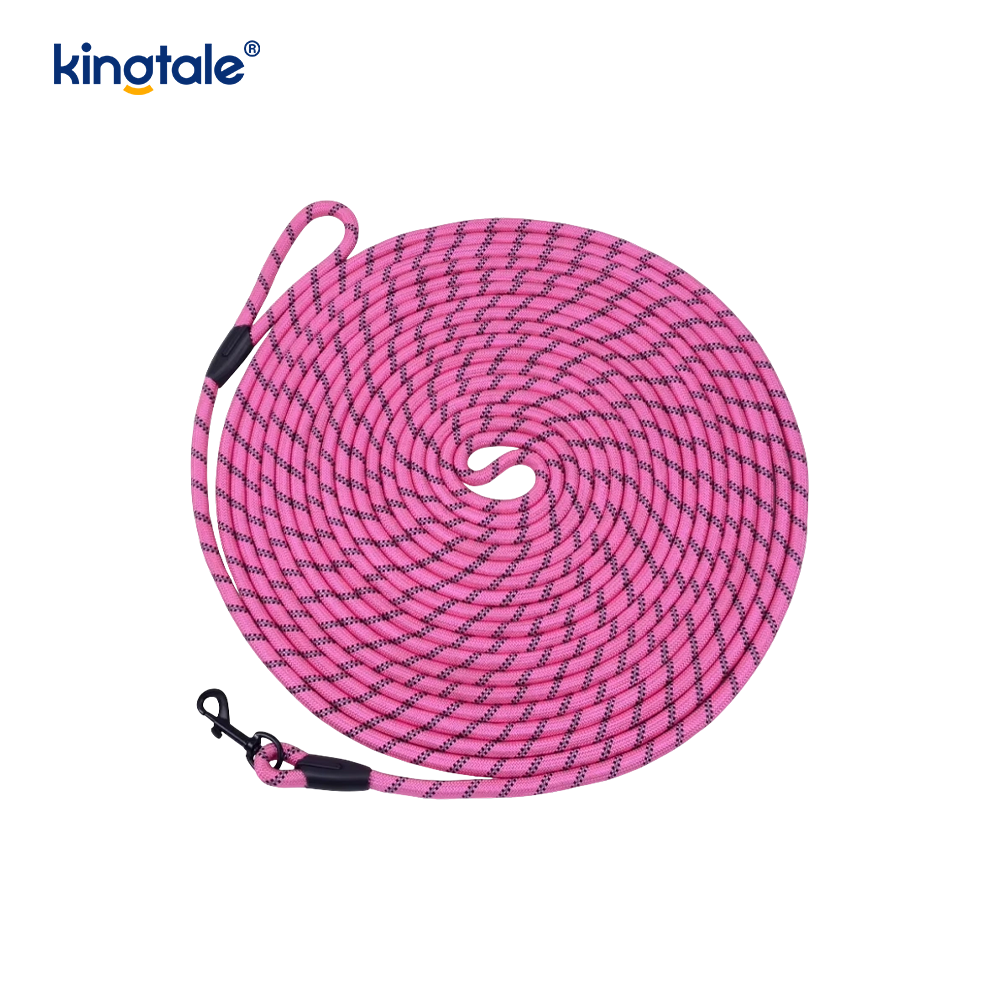 Reflective Fashion Print Nylon Dog Leash New Arrival Pet Leashes