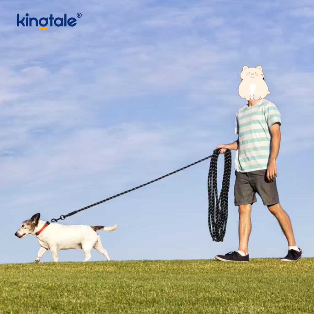 Reflective Fashion Print Nylon Dog Leash New Arrival Pet Leashes