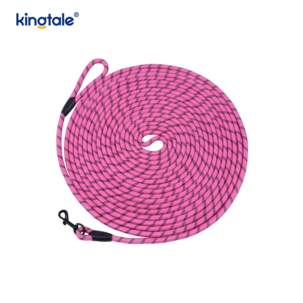 Reflective Fashion Print Nylon Dog Leash New Arrival Pet Leashes