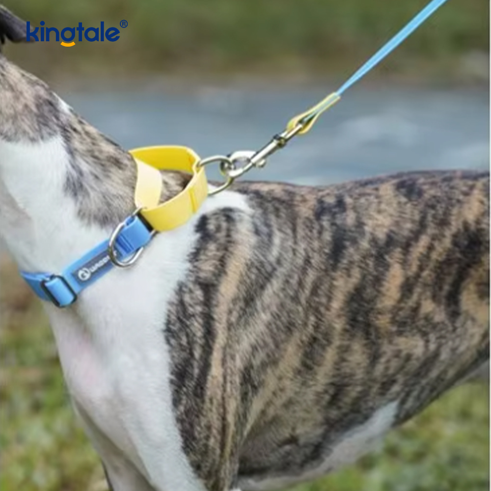Waterproof Dog Leash Luxury Fashion Simple Nylon Pet Supplies  