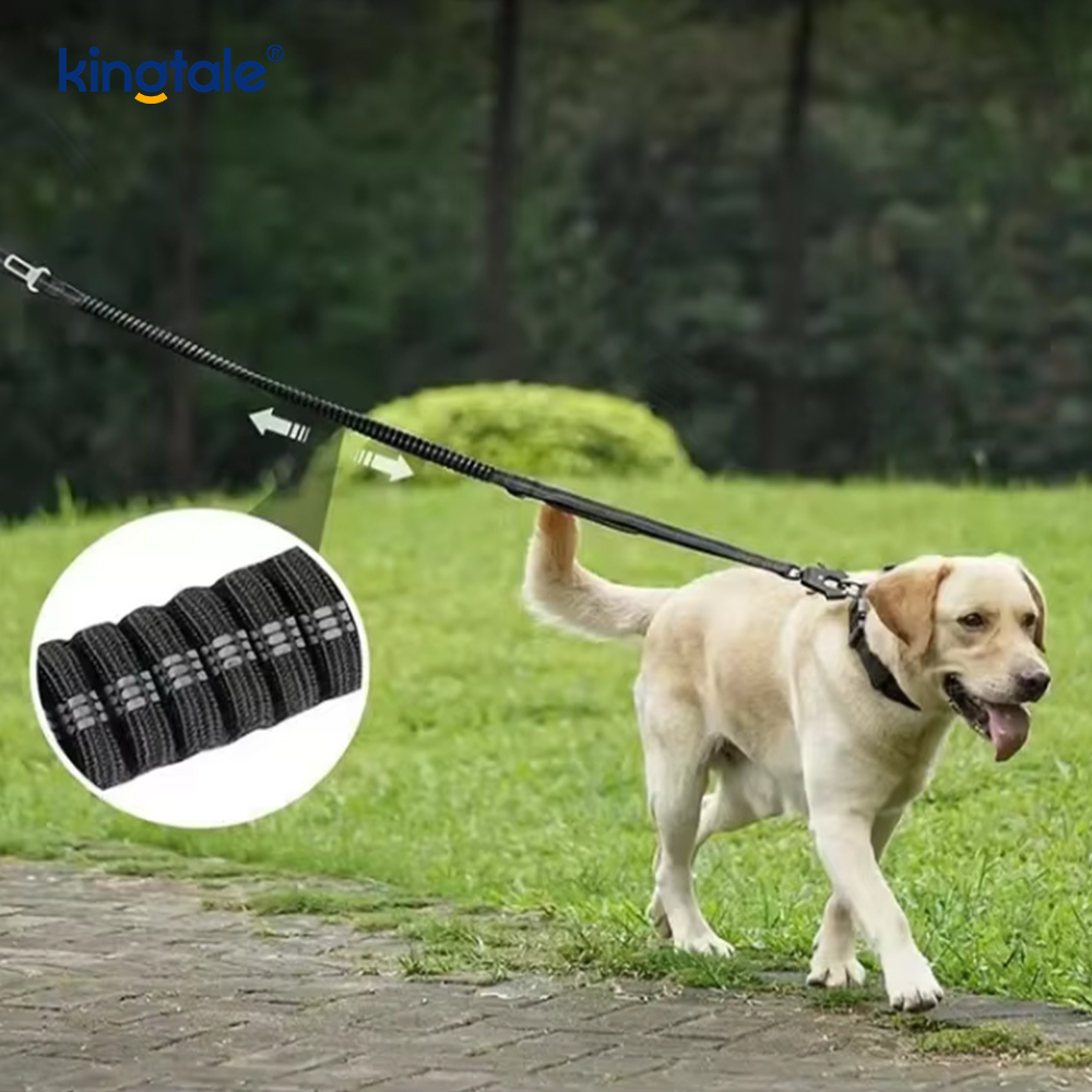 Reflective Nylon Safety Leash Elastic Buffer Solid Dog Car Seat