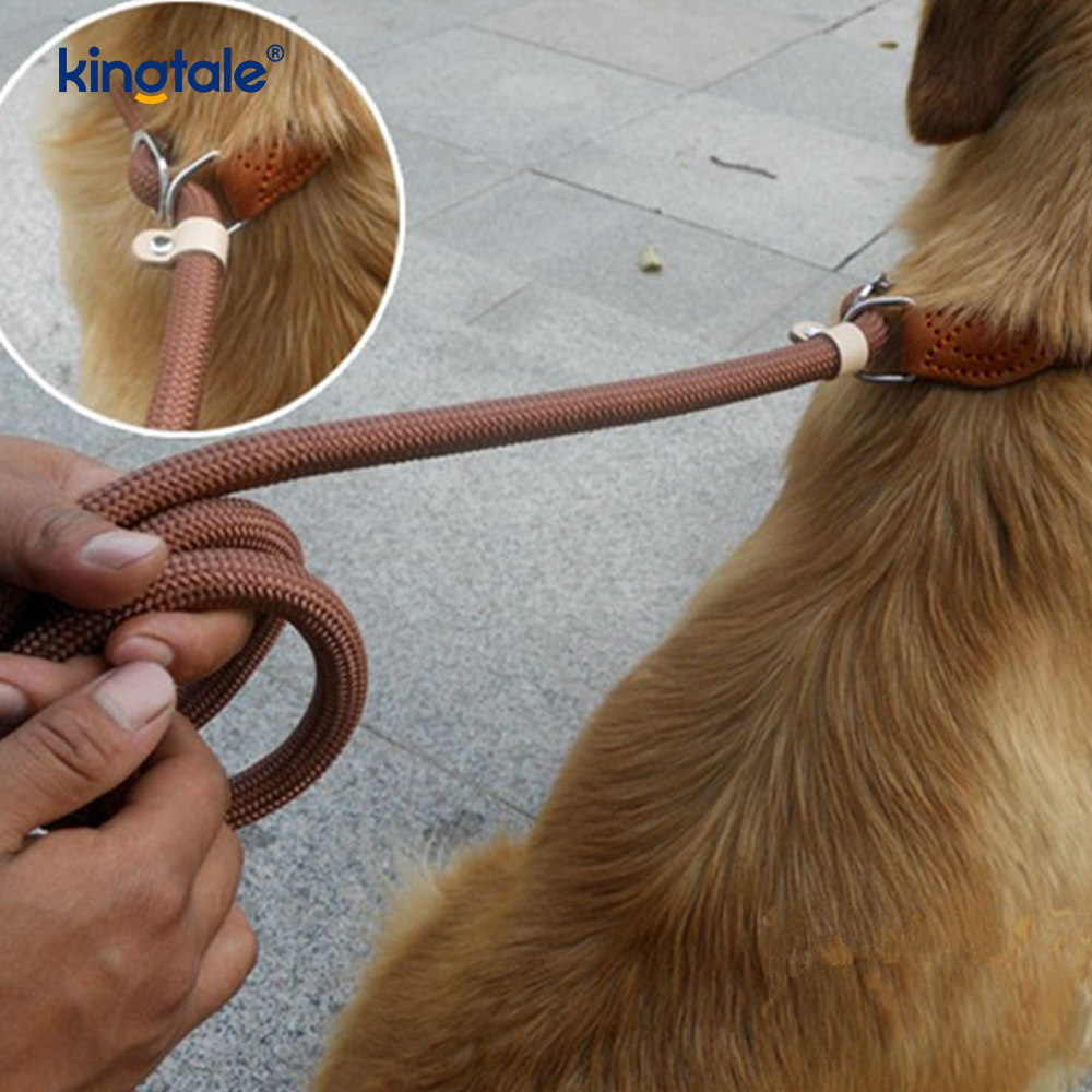 Anti-Pull Extra-Long & Thick P-Leash for Dogs Training Slip Lead 