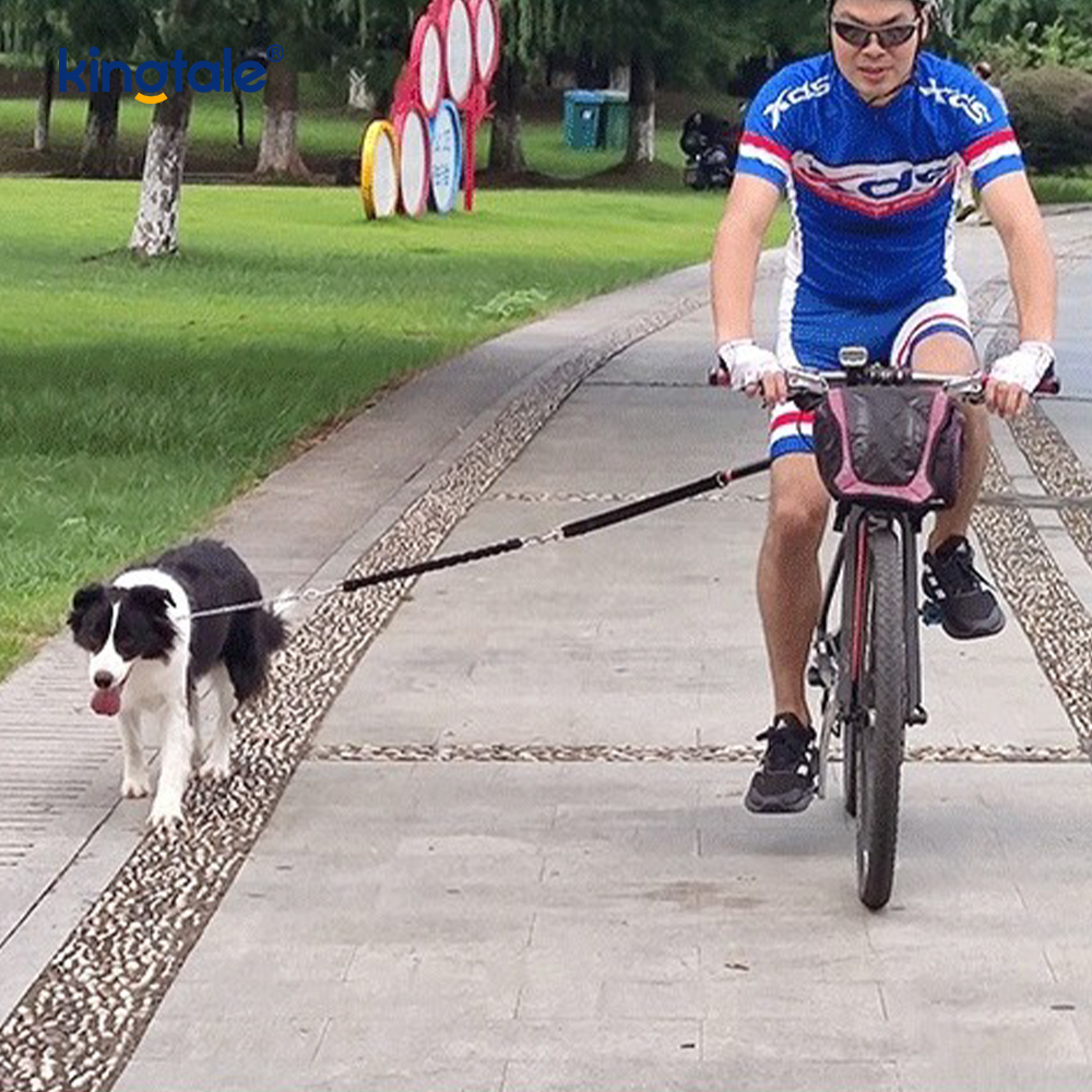 Bicycle Dog Leash Attachment Hands-Free Cycling Dog Traction Rope 