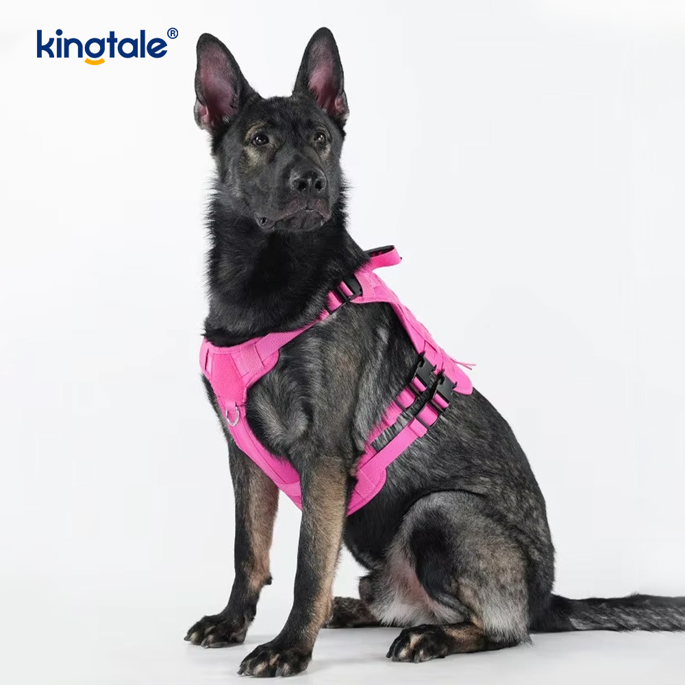 Cat & Dog Backpack Shoulder/Handbag Carrier Chest Harness 