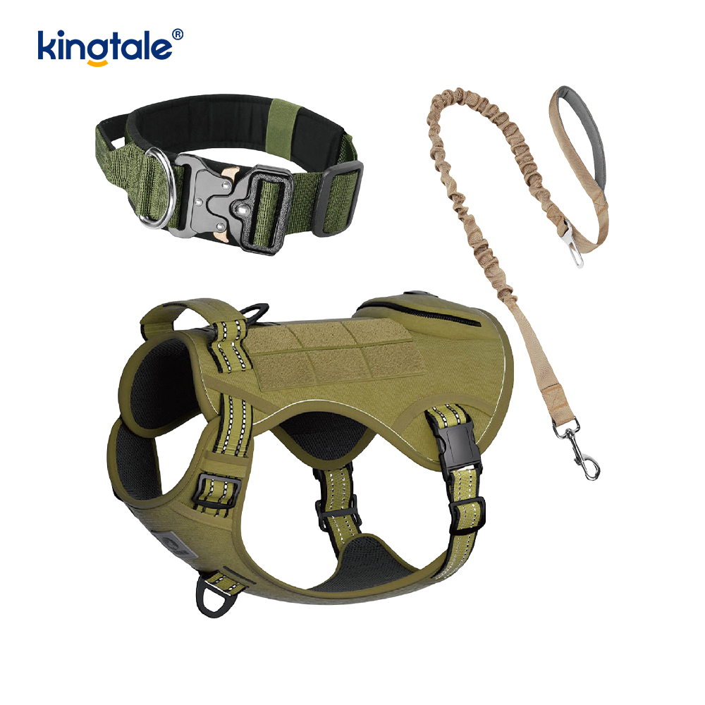Training Nylon No Pull Dog Collar Leash Harness Set with Control 